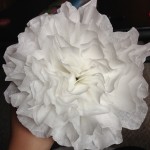 Paper flowers